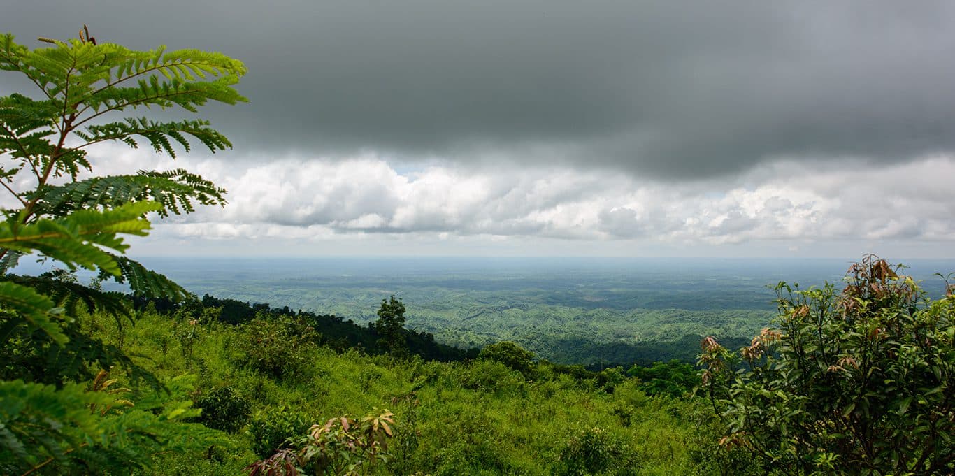 Bangladesh landscape
